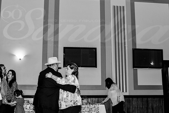 Sandras60th (146 of 368)