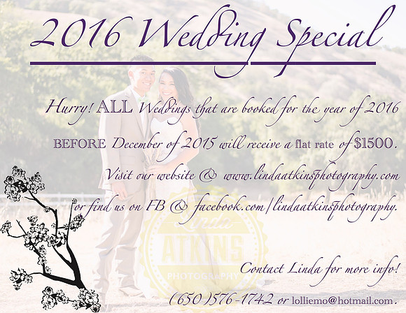 2016 Wedding Special