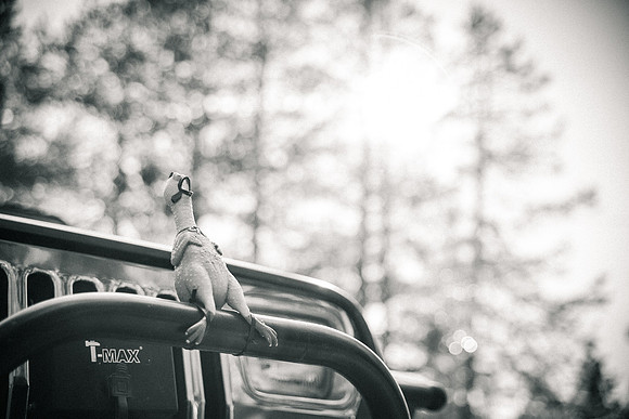 july16th2016 (102 of 141)